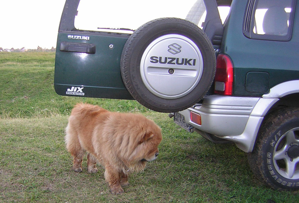 Автосервис FXCar - официальный сервис Всероссийского клуба Suzuki